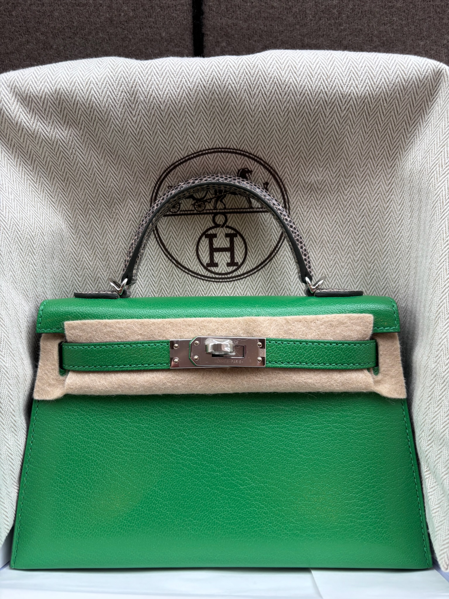 Hermès Mini Kelly Bamboo & Ombre Chevre PHW