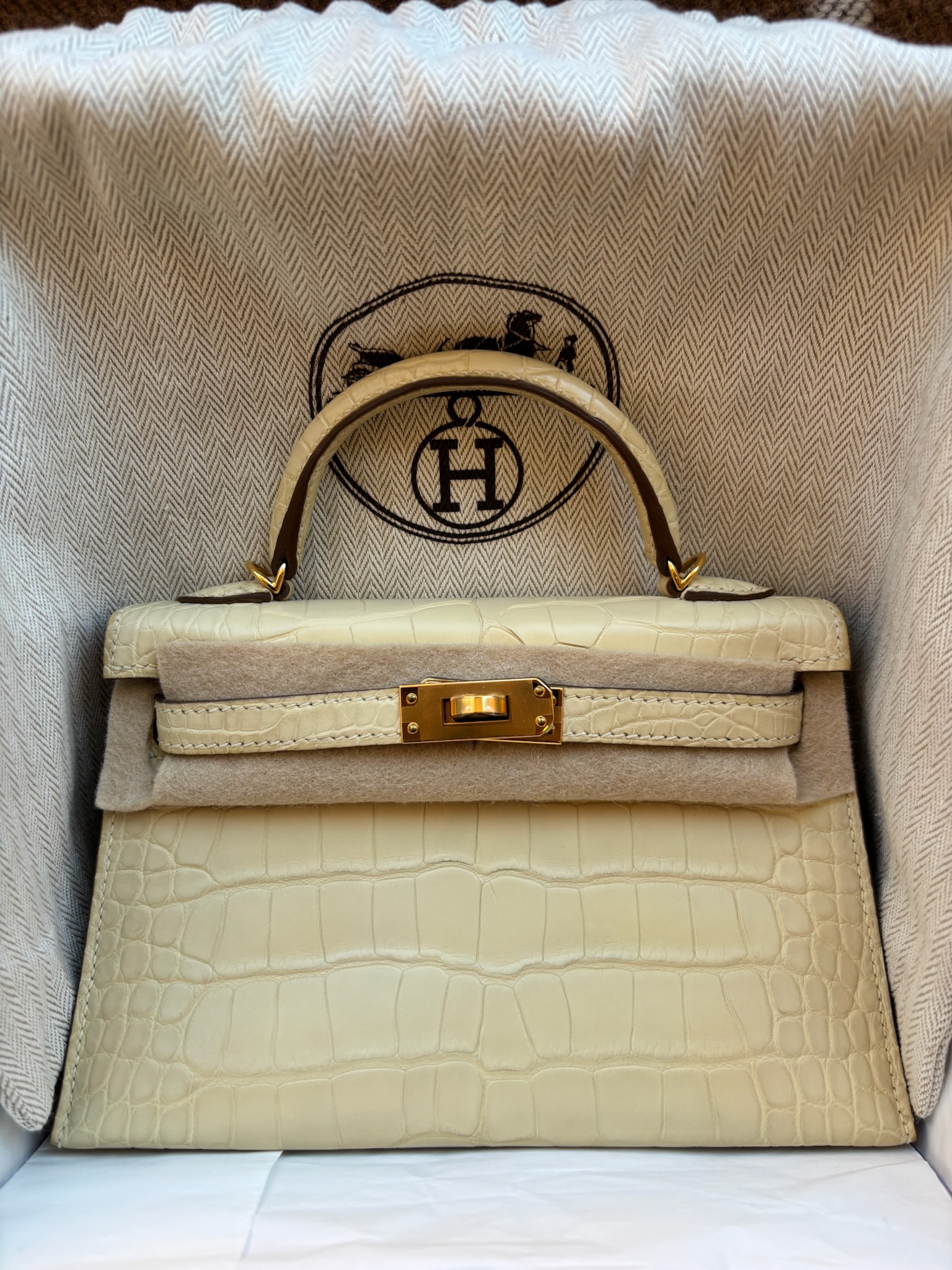 Hermès Mini Kelly Vanilla Matt Alligator GHW