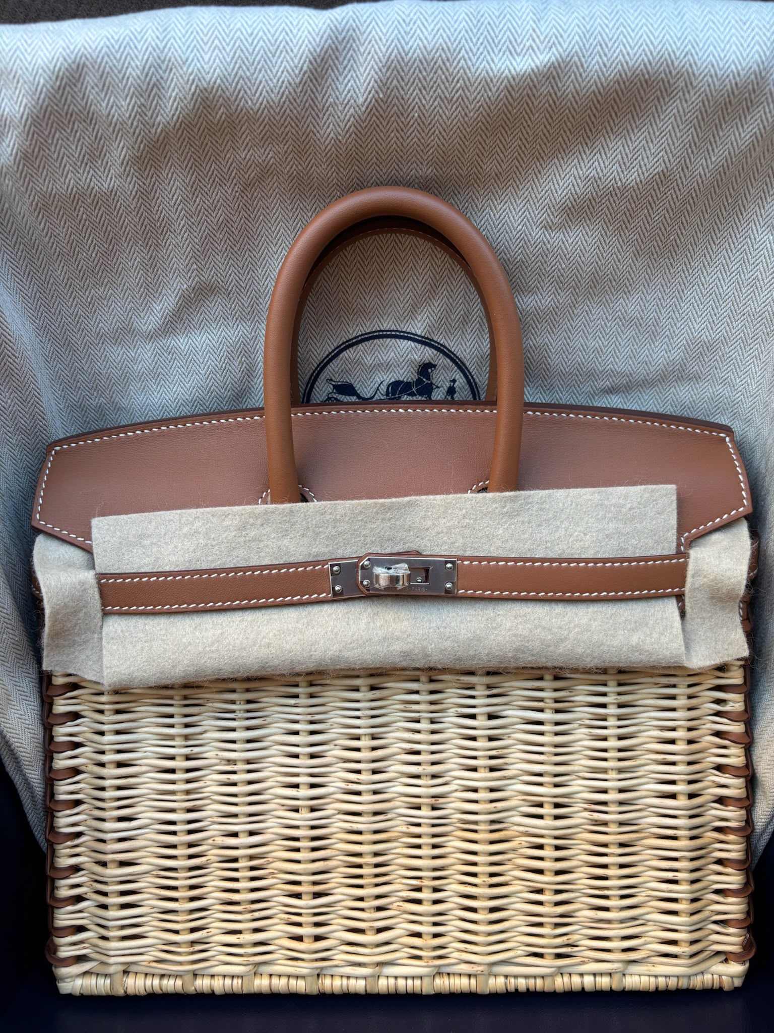 Hermès Birkin 25 Picnic Naturel Fauve Barenia PHW