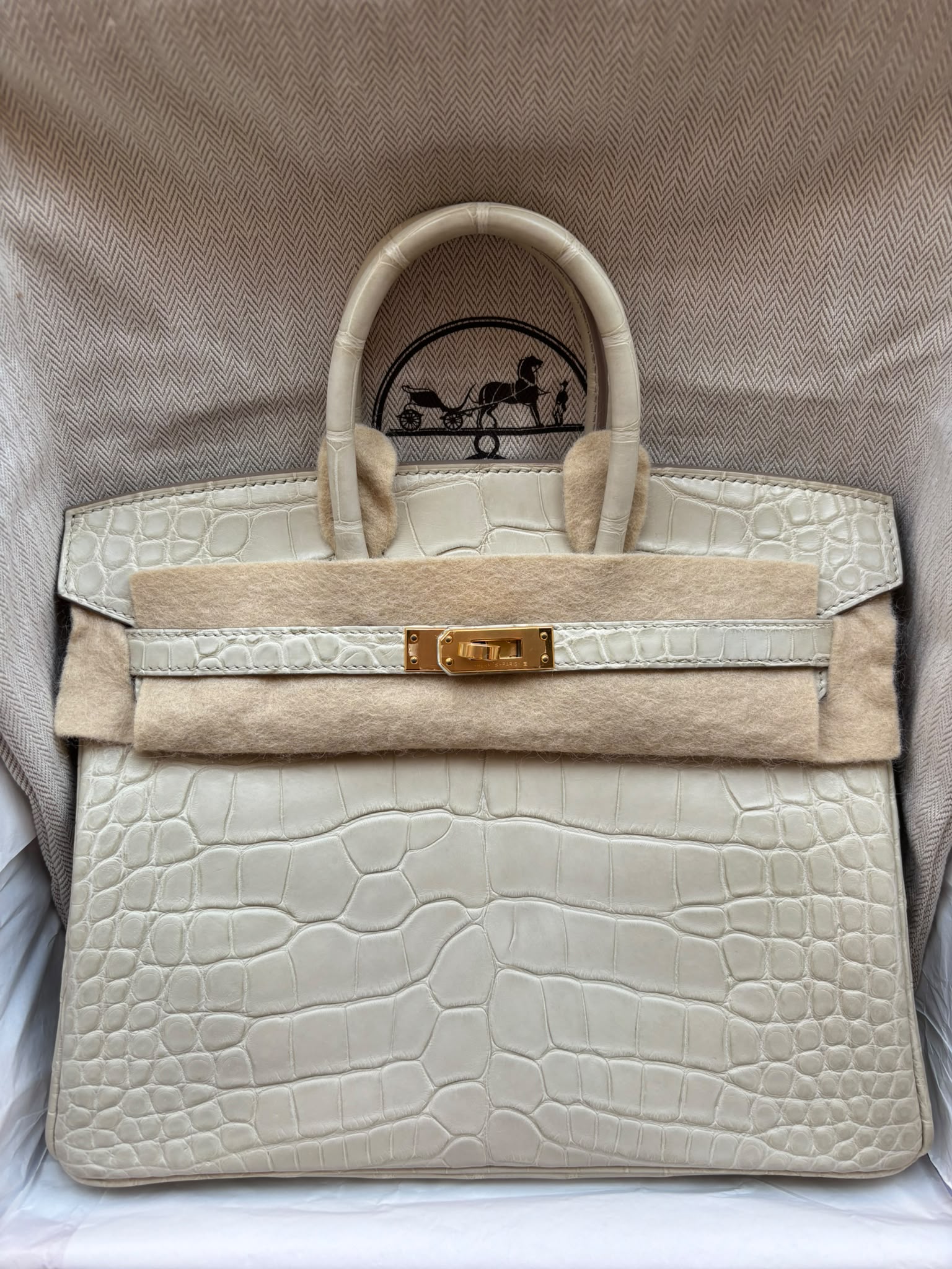 Hermès Birkin 25 Béton Matte Alligator GHW