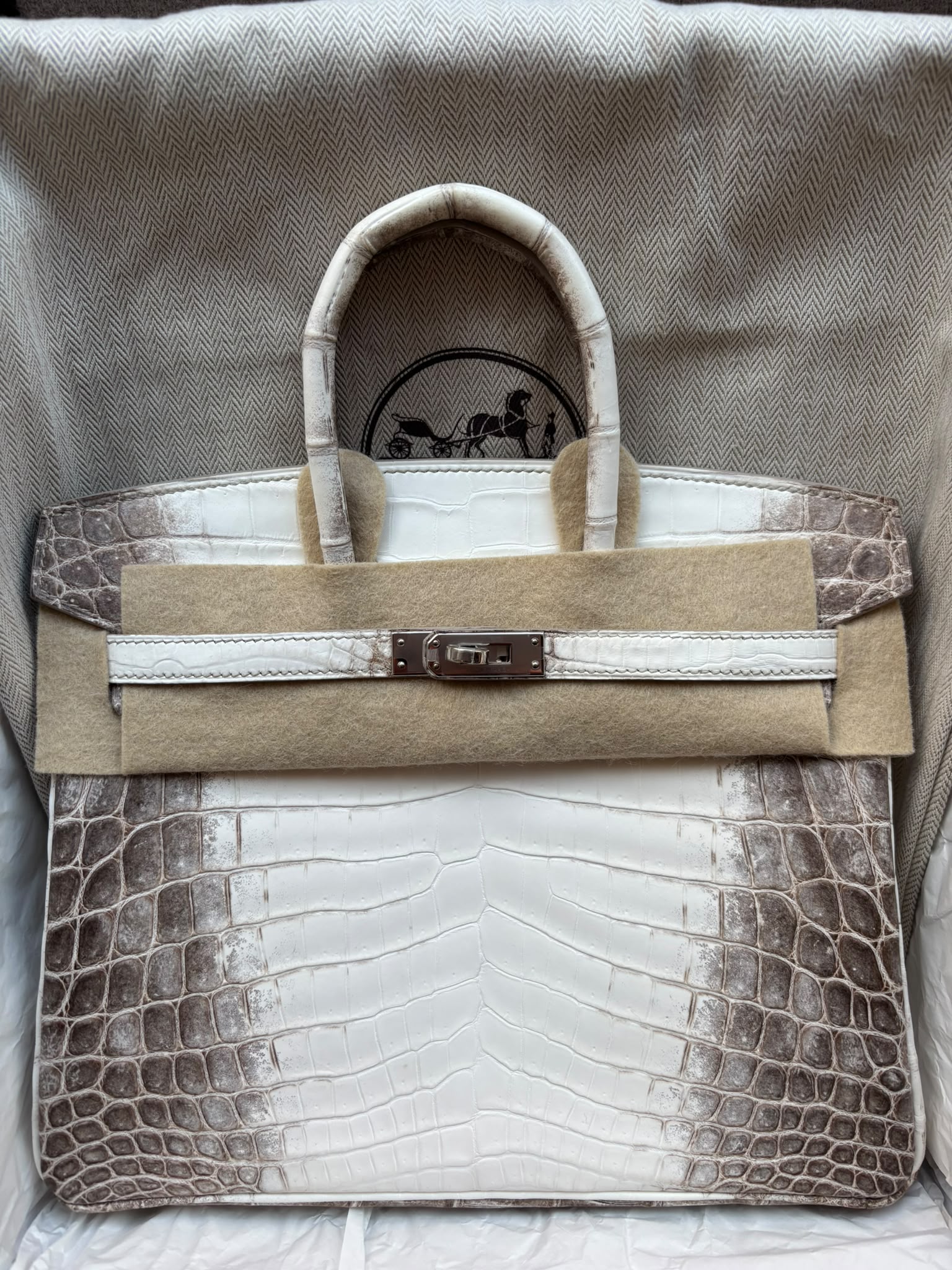 Hermès Birkin 25 Himalayan Niloticus Crocodile PHW