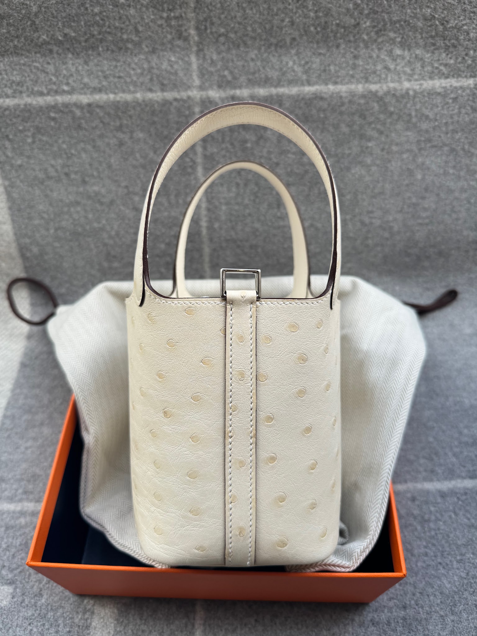 Hermès Picotin Micro 14 Nata Ostrich PHW | JULL London